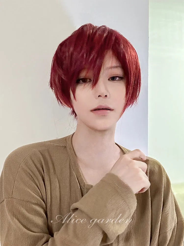 Casual Series Short Red Ikemen Wig ON985