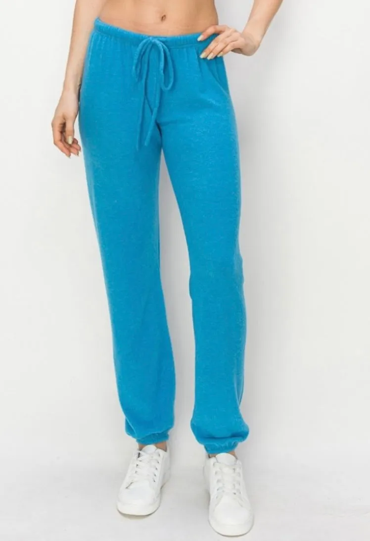 Lounge comfy and cozy pants with elastic drawstring pants with elastic at ankles- H. Purple